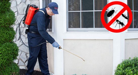 Yeşilyurt Karınca İlaçlama böcek ilaçlama ve haşere kontrolü — ilaclama-tr.com